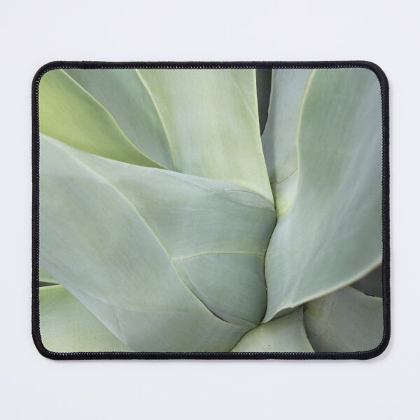 Item preview, Agave Close Up Leaf Pattern designed and sold by 27Tammy27.