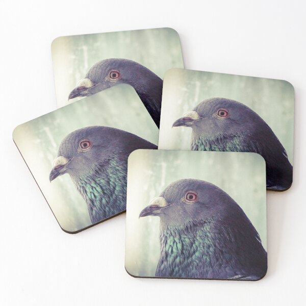 Item preview, Pigeon looks out of dirty window designed and sold by pigeonlovrs.