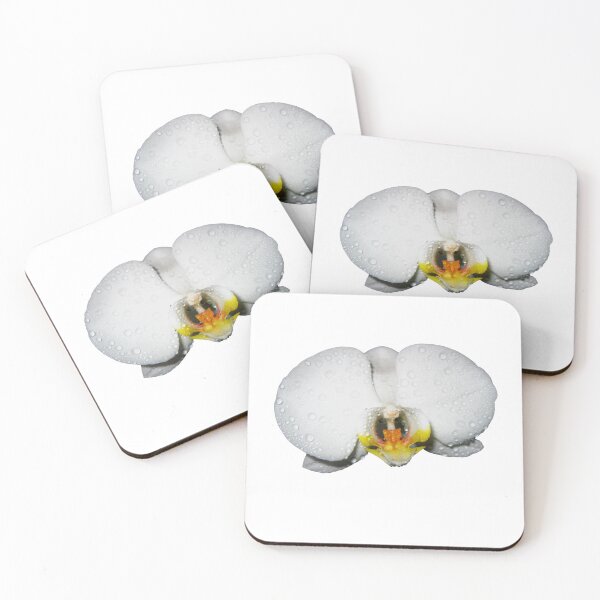 Item preview, Photograph of a beautiful White Orchid Phalaenopsis. Moon Orchids. Phalaenopsis amabilis designed and sold by TaynaraVieira.