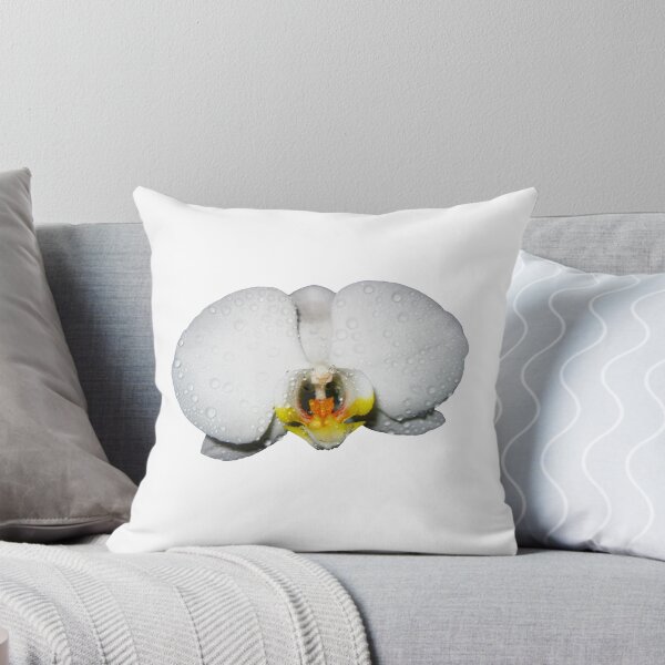 Item preview, Photograph of a beautiful White Orchid Phalaenopsis. Moon Orchids. Phalaenopsis amabilis designed and sold by TaynaraVieira.