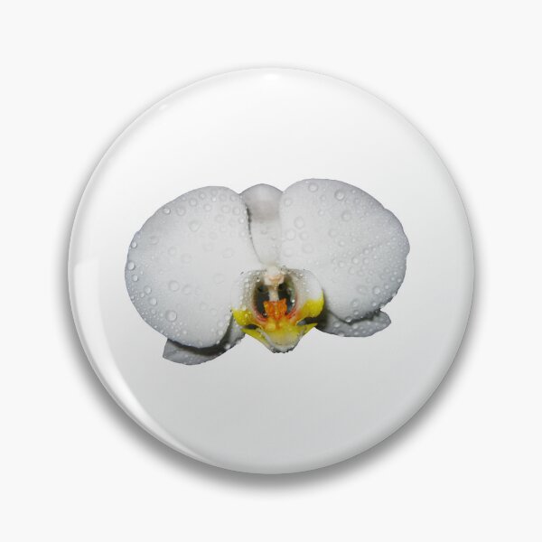 Item preview, Photograph of a beautiful White Orchid Phalaenopsis. Moon Orchids. Phalaenopsis amabilis designed and sold by TaynaraVieira.