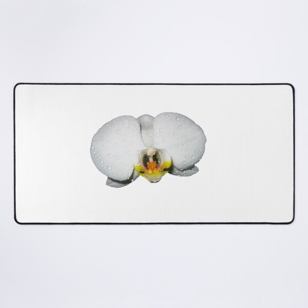 Item preview, Photograph of a beautiful White Orchid Phalaenopsis. Moon Orchids. Phalaenopsis amabilis designed and sold by TaynaraVieira.