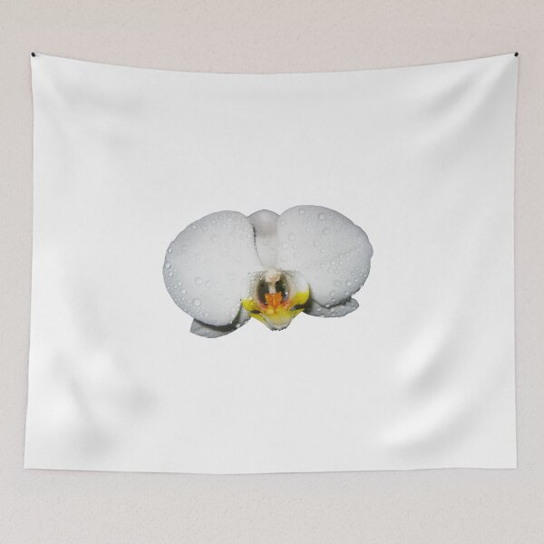 Item preview, Photograph of a beautiful White Orchid Phalaenopsis. Moon Orchids. Phalaenopsis amabilis designed and sold by TaynaraVieira.