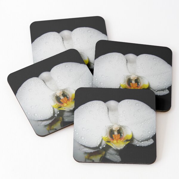 Item preview,  White Orchid Phalaenopsis. Moon Orchids. Phalaenopsis amabilis designed and sold by TaynaraVieira.