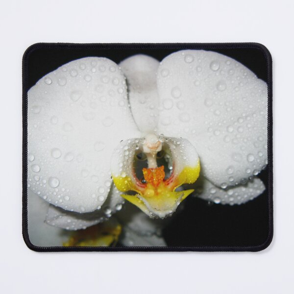 Item preview, White Orchid Phalaenopsis. Moon Orchids. Phalaenopsis amabilis designed and sold by TaynaraVieira.