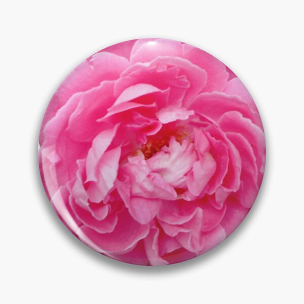 Item preview, Damask rose. Beautiful Rose damascena designed and sold by TaynaraVieira.