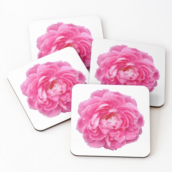 Item preview, Damask rose. Beautiful Rose damascena designed and sold by TaynaraVieira.