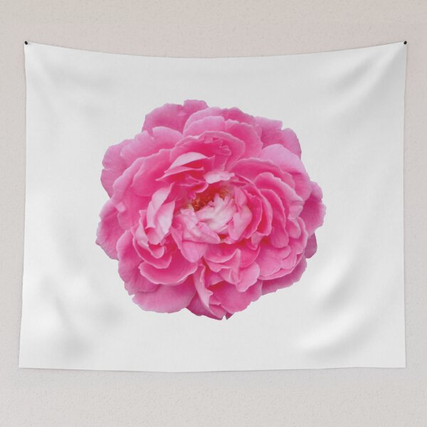 Item preview, Damask rose. Beautiful Rose damascena designed and sold by TaynaraVieira.