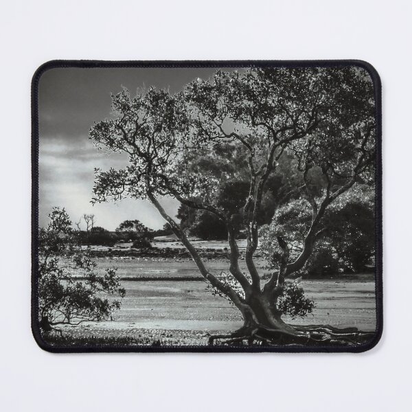 Item preview, Glow of the Wetlands designed and sold by MonochromePics.
