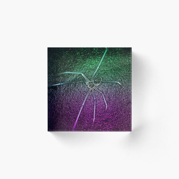 Neon spider macro shot Acrylic Block