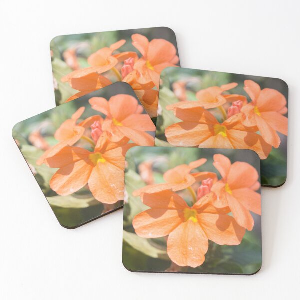 Item preview, Firecracker Flowers designed and sold by ROSE ANN BANILAR.