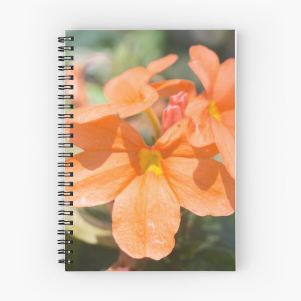 Item preview, Firecracker Flowers designed and sold by ROSE ANN BANILAR.