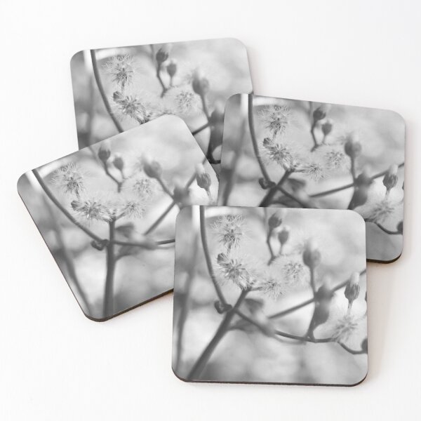 Item preview, B&W - Little Ironweed designed and sold by ROSE ANN BANILAR.