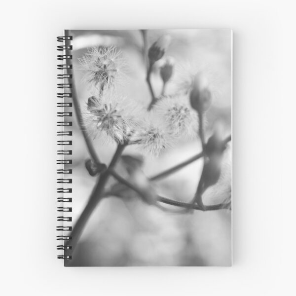 Item preview, B&W - Little Ironweed designed and sold by ROSE ANN BANILAR.