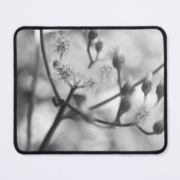 Item preview, B&W - Little Ironweed designed and sold by ROSE ANN BANILAR.