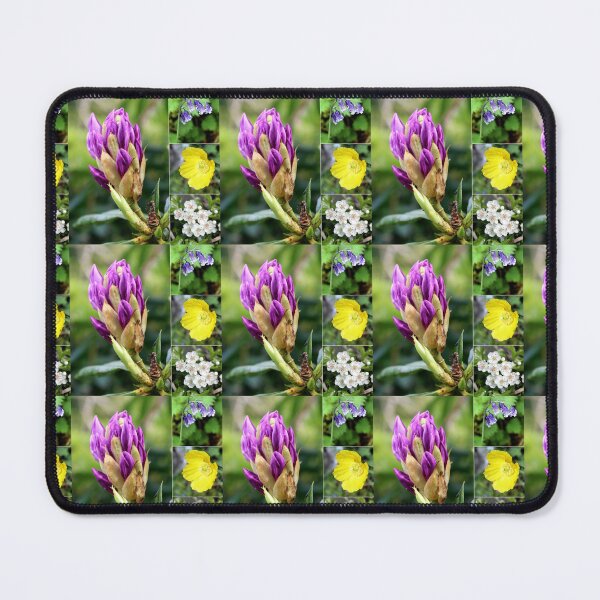 Item preview, spring flower designed and sold by KathleenDawson.