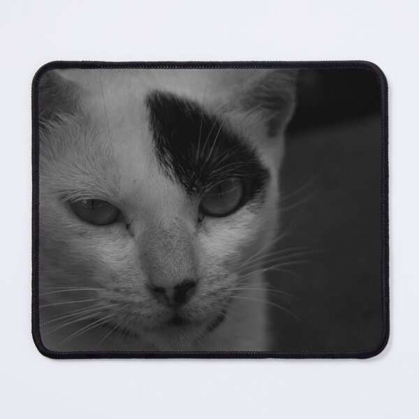Item preview, B&W - Cat Wonder designed and sold by ROSE ANN BANILAR.