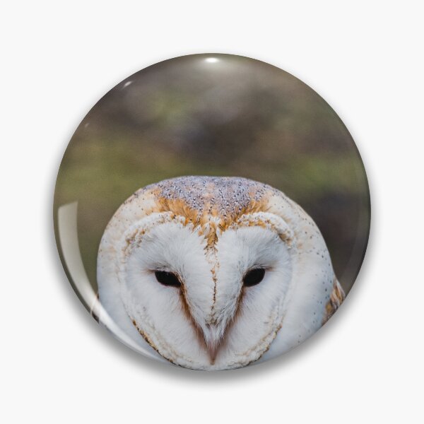 Item preview, Owl designed and sold by XaviFotografia.