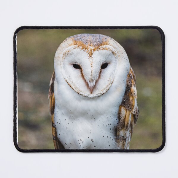 Item preview, Owl designed and sold by XaviFotografia.