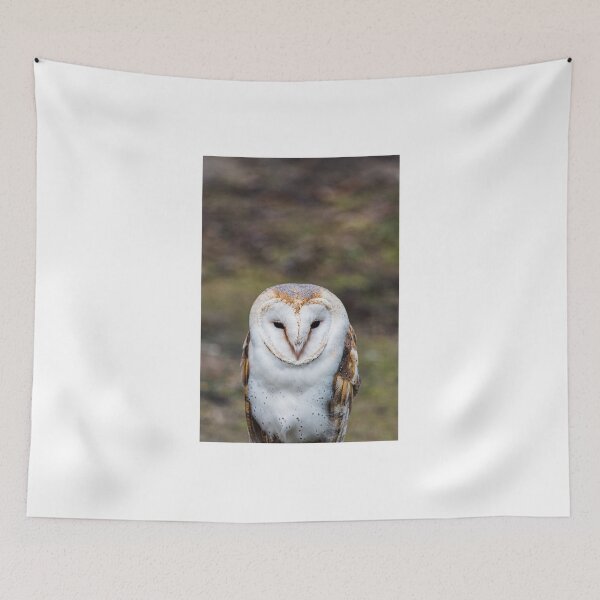 Item preview, Owl designed and sold by XaviFotografia.