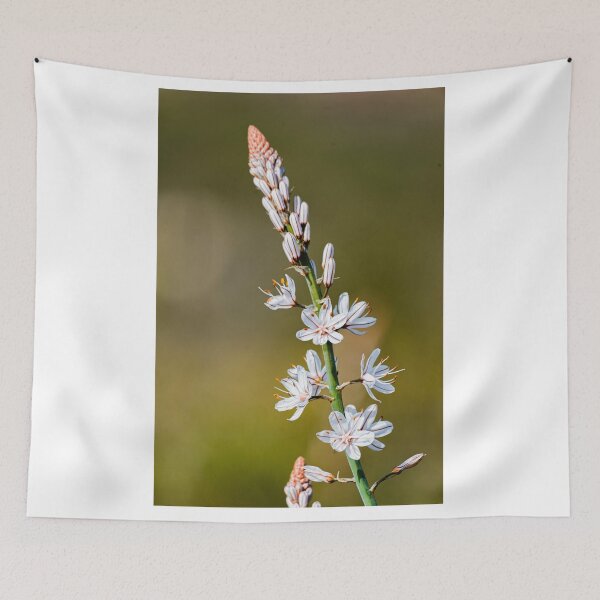 Item preview, White flower designed and sold by XaviFotografia.