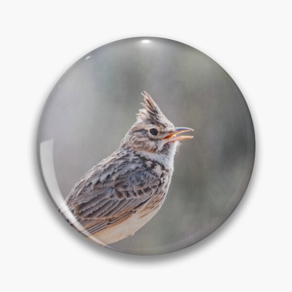 Item preview, Great Crested Lark designed and sold by XaviFotografia.