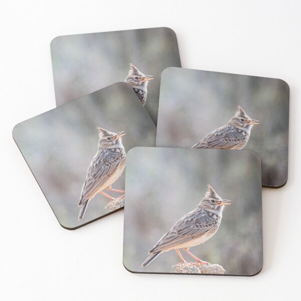 Item preview, Great Crested Lark designed and sold by XaviFotografia.