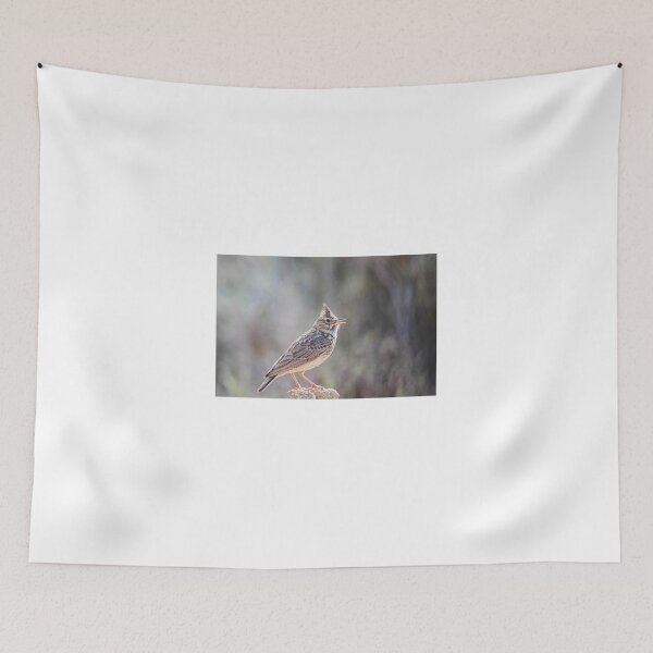 Item preview, Great Crested Lark designed and sold by XaviFotografia.