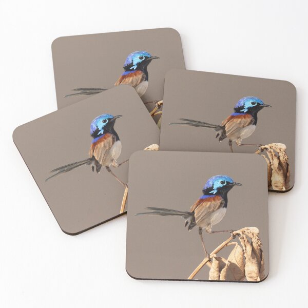 Item preview, Purple-backed Fairy Wren designed and sold by Fairywren Images.