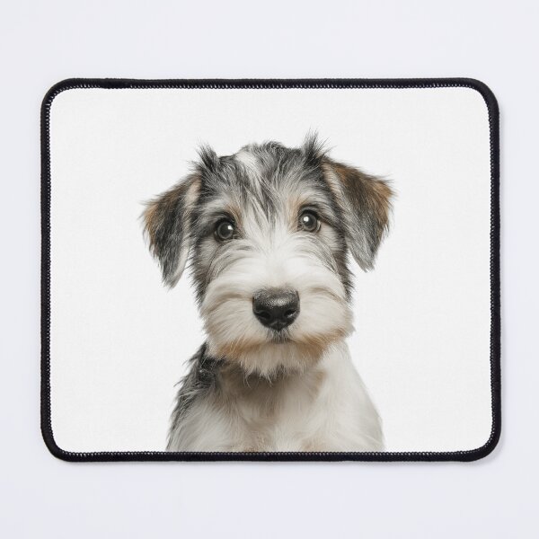 Item preview, Adorable Sealyham Terrier puppy for Cute Cowley Terrier puppy lovers designed and sold by LazyOwlStore.
