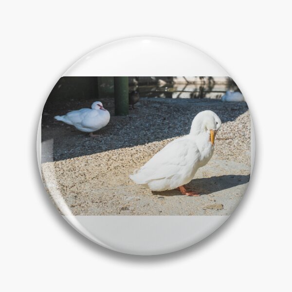 Artikelvorschau, Vogelszene entworfen und verkauft von XaviFotografia.