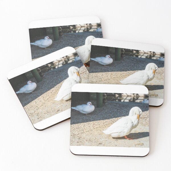Item preview, Bird scene designed and sold by XaviFotografia.