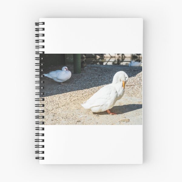 Item preview, Bird scene designed and sold by XaviFotografia.