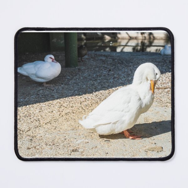 Item preview, Bird scene designed and sold by XaviFotografia.