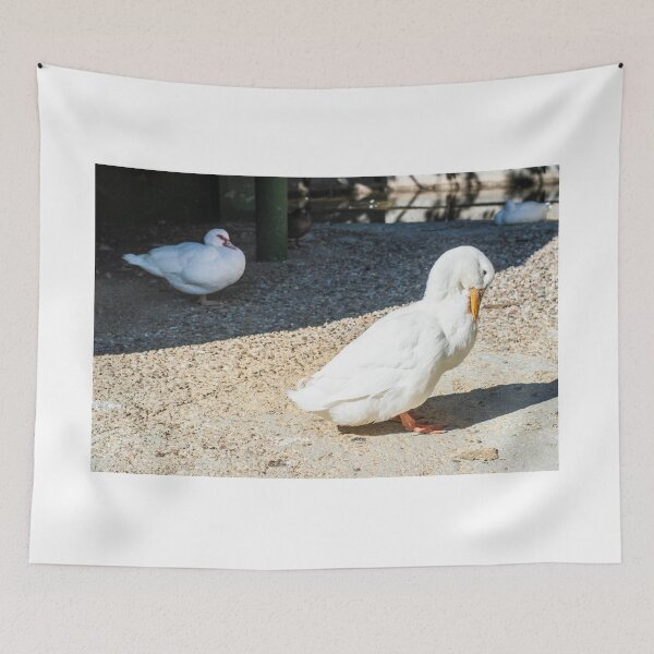 Item preview, Bird scene designed and sold by XaviFotografia.