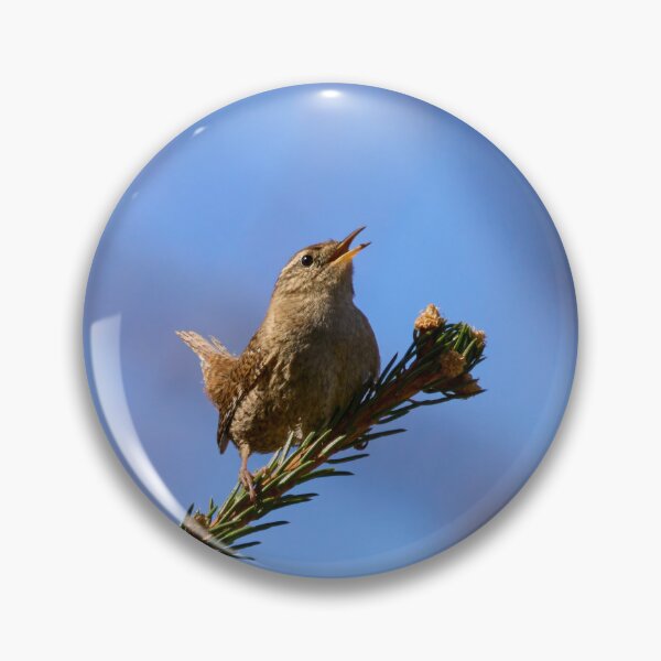Item preview, The mighty song. Eurasian wren designed and sold by Jouko Lehto Photography.