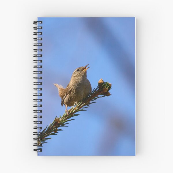 Item preview, The mighty song. Eurasian wren designed and sold by Jouko Lehto Photography.