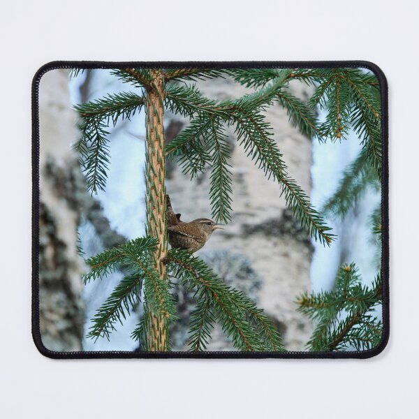 Item preview, Pending the spruce. Eurasian wren designed and sold by Jouko Lehto Photography.