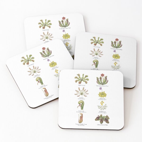 Item preview,  Carnivorous Plants designed and sold by ArunDandiboina.