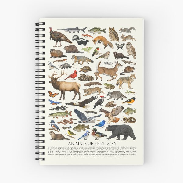 Item preview, Animals of Kentucky Retro Style Identification Chart designed and sold by kakarikihill.