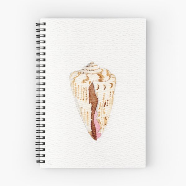 Item preview, Delicate watercolor painting of a cone shell.  designed and sold by KPierceArt.