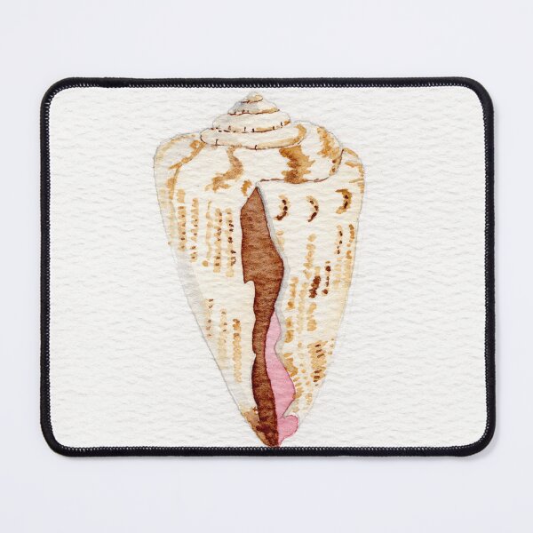Item preview, Delicate watercolor painting of a cone shell.  designed and sold by KPierceArt.