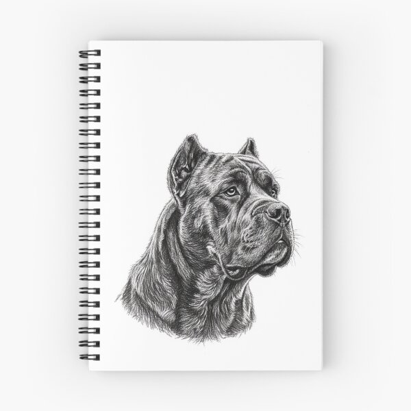 Item preview, Cane Corso Charcoal Sketch: Elegant Italian Mastiff Art designed and sold by Exquisite Design Studio „Paculówka”.