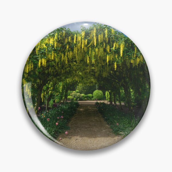 Item preview, Brodsworth Hall Laburnum Arch designed and sold by Alisonchambers2.