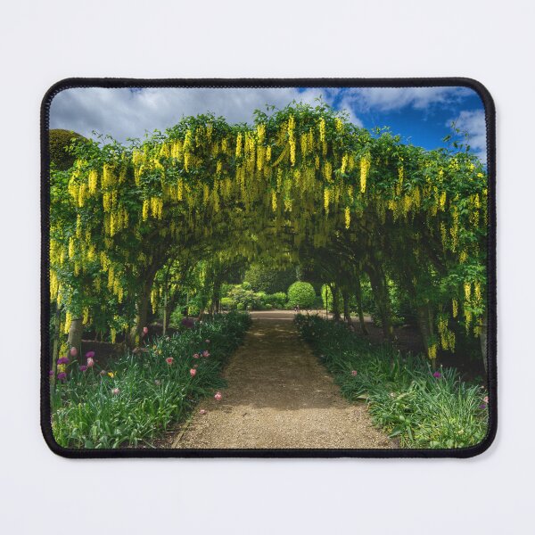 Item preview, Brodsworth Hall Laburnum Arch designed and sold by Alisonchambers2.
