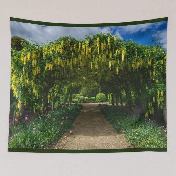 Item preview, Brodsworth Hall Laburnum Arch designed and sold by Alisonchambers2.