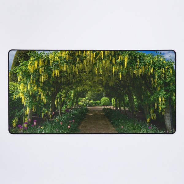 Item preview, Brodsworth Hall Laburnum Arch designed and sold by Alisonchambers2.