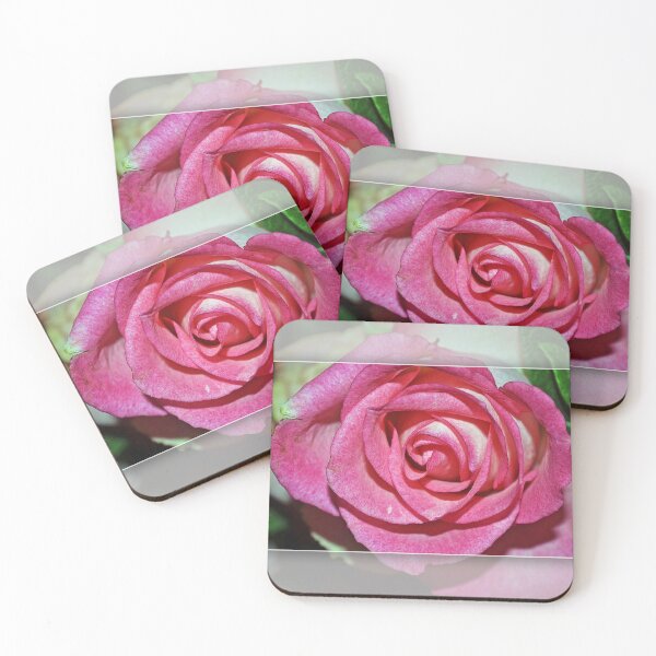 Item preview, Pink Rose Macro Photography designed and sold by Annesshop0207.
