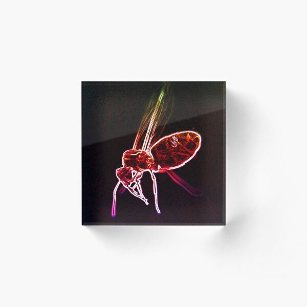 Neon macro flying ant Acrylic Block