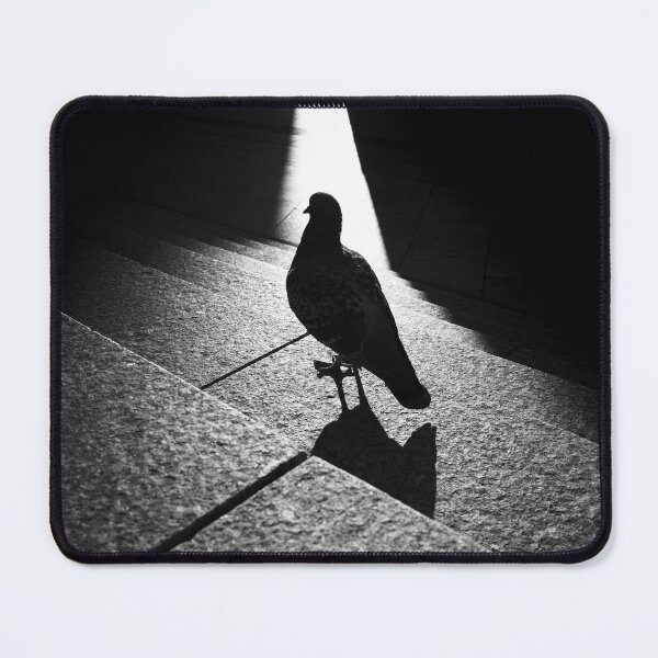 Item preview, Pigeon on the cathedral square - Cologne silhouette black and white designed and sold by jacquesview.